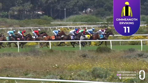 Hollywoodbets Kenilworth SA 08 Nov 2025 Race 2