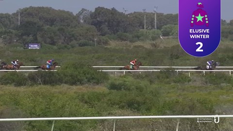 Hollywoodbets Kenilworth SA 24 Dec 2025 Race 5