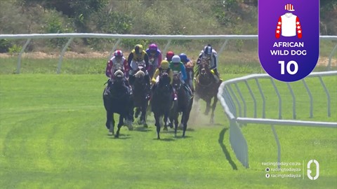 Hollywoodbets Durbanville SA 04 Oct 2026 Race 2
