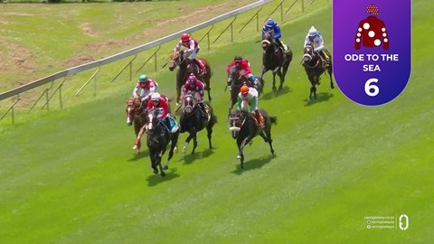 Hollywoodbets Scottsville SA 11 Jan 2026 Race 1