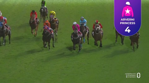 Hollywoodbets Greyville SA 02 May 2026 Race 10