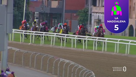 Hollywoodbets Greyville SA 19 Oct 2025 Race 6