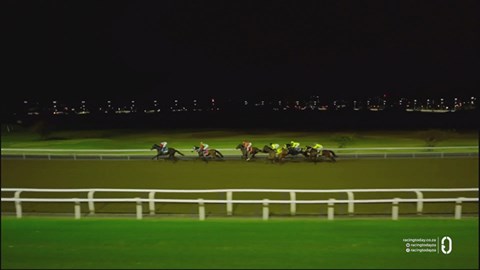 Hollywoodbets Greyville SA 06 Feb 2026 Race 7