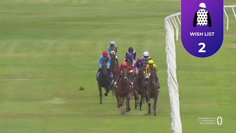 Hollywoodbets Kenilworth SA 28 Feb 2026 Race 8