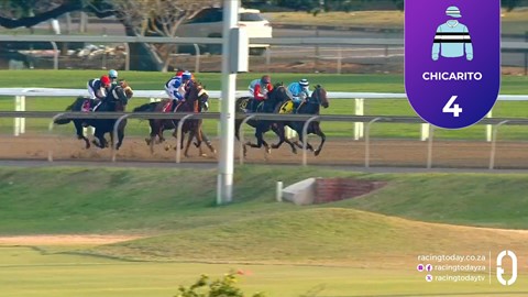 Hollywoodbets Greyville SA 15 Jul 2026 Race 7