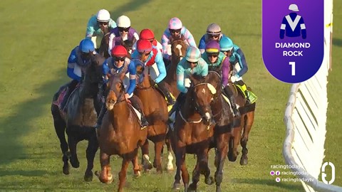 Hollywoodbets Kenilworth SA 12 Aug 2026 Race 8