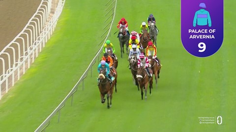 Hollywoodbets Greyville SA 24 Apr 2026 Race 1