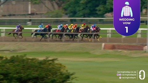 Hollywoodbets Greyville SA 03 Jun 2026 Race 8