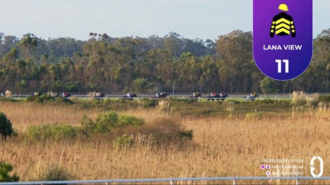 Fairview SA 22 May 2026 Race 8