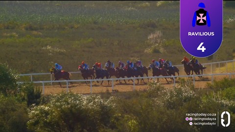 Fairview SA 07 Nov 2025 Race 8