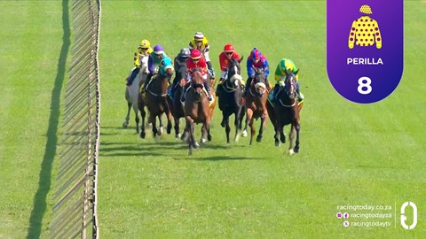 Hollywoodbets Scottsville SA 29 Apr 2026 Race 4