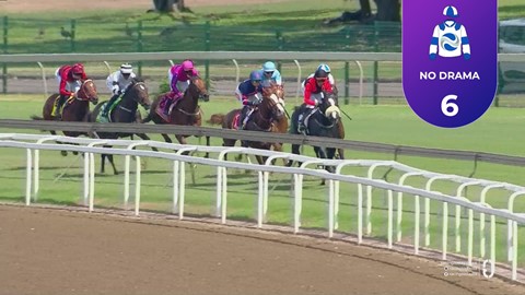 Hollywoodbets Greyville SA 11 Apr 2026 Race 1