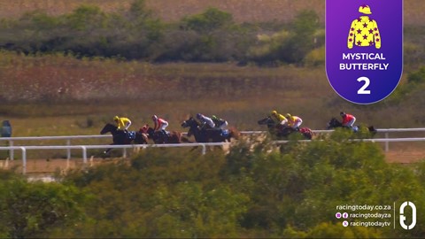 Fairview SA 22 Apr 2026 Race 3