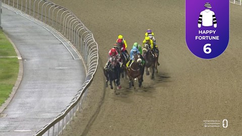 Hollywoodbets Greyville SA 03 Apr 2026 Race 6