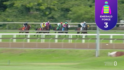 Hollywoodbets Greyville SA 24 Apr 2026 Race 2