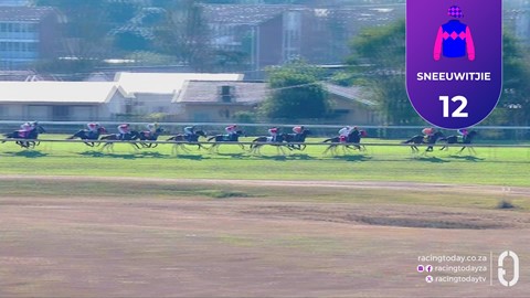 Hollywoodbets Scottsville SA 20 Jul 2025 Race 4