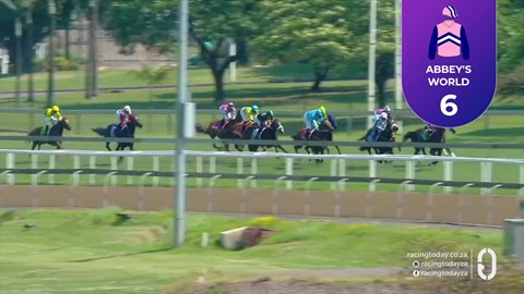 Hollywoodbets Greyville SA 11 Oct 2026 Race 2