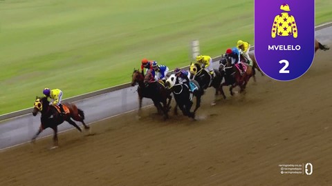 Hollywoodbets Greyville SA 27 Oct 2025 Race 7