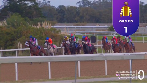 Fairview SA 24 Jun 2026 Race 8