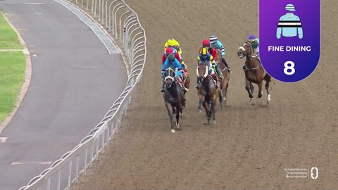 Hollywoodbets Greyville SA 28 Nov 2025 Race 1