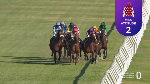 Hollywoodbets Durbanville SA 21 Mar 2026 Race 8