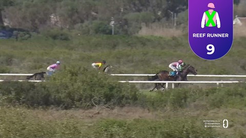 Hollywoodbets Kenilworth SA 16 May 2026 Race 2