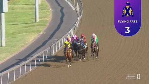 Hollywoodbets Greyville SA 03 Apr 2026 Race 1