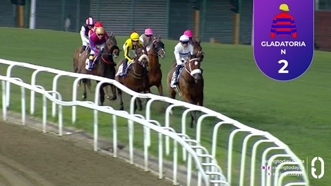 Greyville Worldpool SA 27 Jul 2025 Race 8