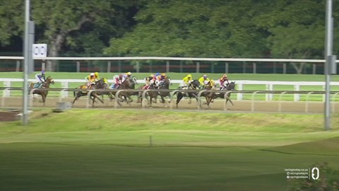 Hollywoodbets Greyville SA 06 Feb 2026 Race 8