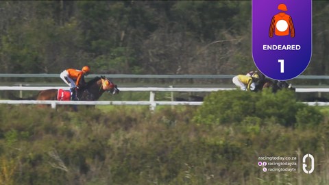TAB Fairview SA 23 Oct 2026 Race 8