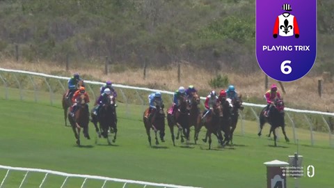 Hollywoodbets Kenilworth SA 26 Nov 2025 Race 1