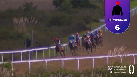 Fairview SA 24 Jun 2026 Race 2