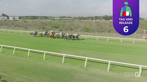 Hollywoodbets Kenilworth SA 03 May 2026 Race 6