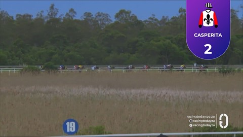 Fairview SA 08 Jun 2026 Race 8