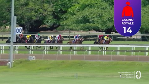 Hollywoodbets Greyville SA 25 Oct 2026 Race 1