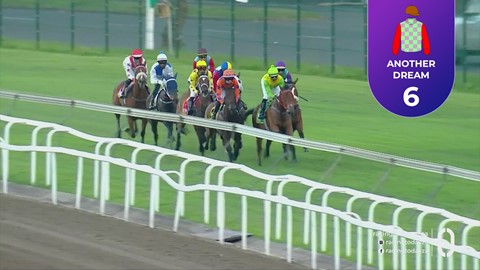 Hollywoodbets Greyville SA 30 Oct 2026 Race 4