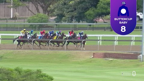 Hollywoodbets Greyville SA 08 Mar 2026 Race 4
