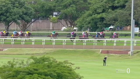 Hollywoodbets Greyville SA 19 Oct 2025 Race 1