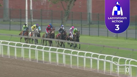 Hollywoodbets Greyville SA 26 Dec 2025 Race 6