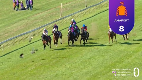 Hollywoodbets Scottsville SA 11 Mar 2026 Race 7