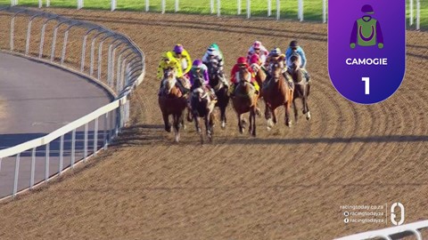 Hollywoodbets Greyville SA 14 Aug 2026 Race 1