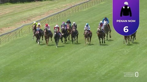 Hollywoodbets Scottsville SA 11 Jan 2026 Race 3