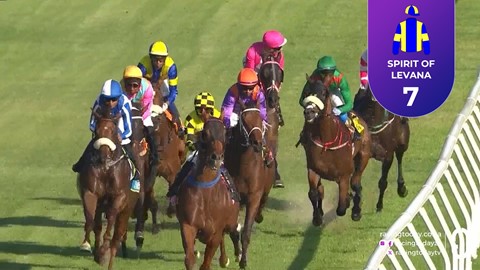 Hollywoodbets Durbanville SA 18 Mar 2026 Race 8