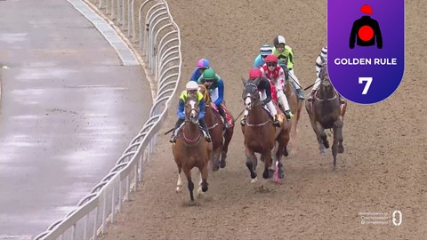 Hollywoodbets Greyville SA 16 Nov 2025 Race 6