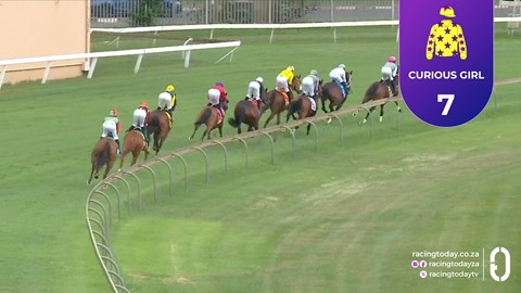 Hollywoodbets Scottsville SA 15 Feb 2026 Race 4