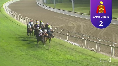 Hollywoodbets Greyville SA 05 Dec 2025 Race 9