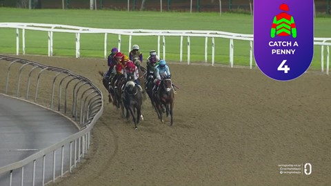 Hollywoodbets Greyville SA 03 Apr 2026 Race 8