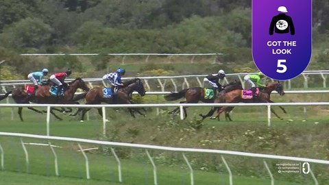 Hollywoodbets Kenilworth SA 10 Nov 2025 Race 2