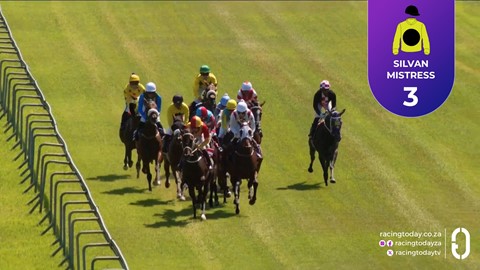 Fairview SA 13 Mar 2026 Race 3