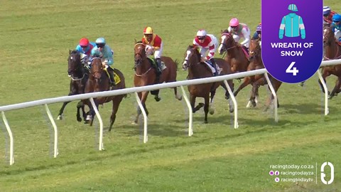 Hollywoodbets Durbanville SA 02 Sep 2026 Race 4